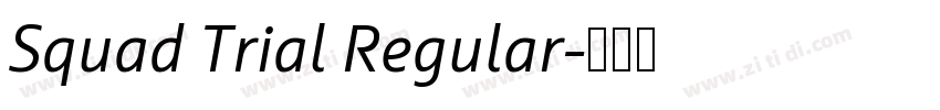 Squad Trial Regular字体转换